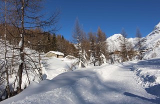 trekking sci di fondo trentino inverno neve