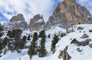 trentino-montagna-bosco-neve-inverno-vacanze