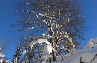 neve sport passeggiate sciare Friuli Venezia Giulia inverno vacanza