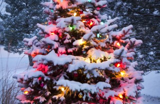 Natale offerte viaggi albero addobbi decorazioni