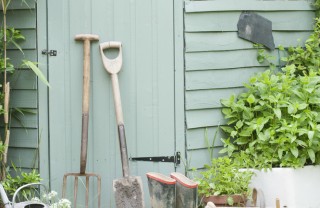 hobby fai da te casetta verde giardinaggio attrezzi ripostiglio giardino natura piante ecologia 