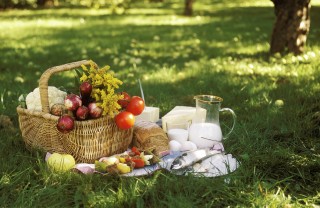 picnic, tovaglia, cestino, campagna, natura, cibo