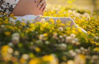 comportamenti, bambino, gravidanza