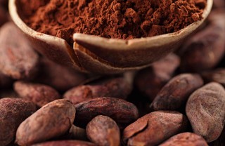 cacao proprietà