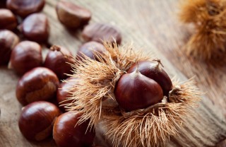 come conservare castagne a lungo, conservare castagne fresche