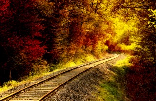 treno foliage 2018, treno foliage percorso, treno foliage date