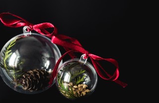 palline di natale trasparenti, decorare palline di natale, decorazioni natalizie con foglie