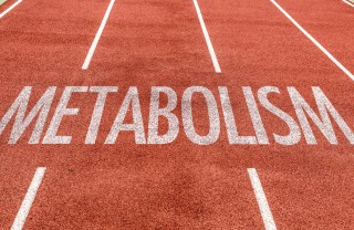 metabolismo basale