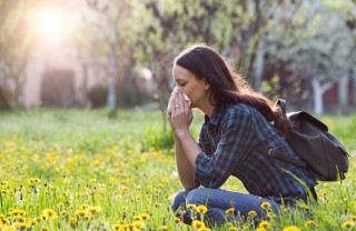 Allergie di primavera