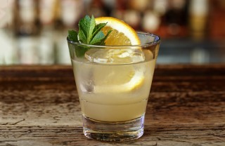 gin lemon, ricetta, long drink