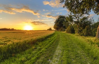 cosa fare campagna