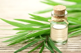 Tea tree oil