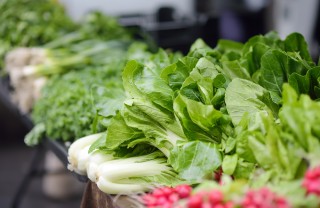 insalata verdura conservazione