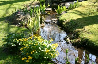 Giardino Feng shui