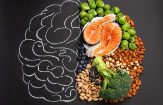 Alimentazione e cervello
