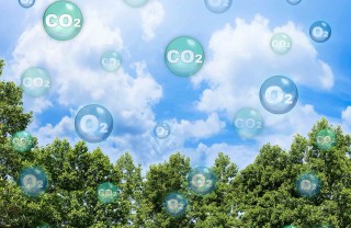 Aumento di CO2 nell'aria