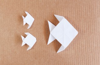 origami pesce tropicale
