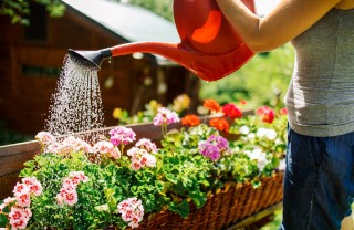 Giardinaggio