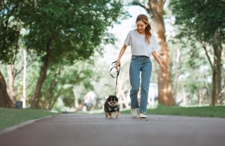 Passeggiare con il cane