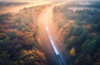 foliage treno