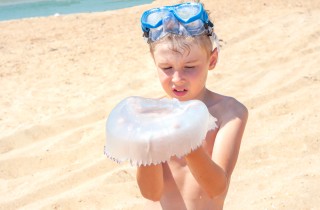 Bambini, cosa fare in caso di puntura di medusa