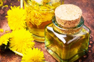 Come preparare l'olio di tarassaco in casa e come usarlo