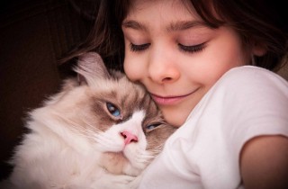 Animali domestici e persone con autismo: i benefici