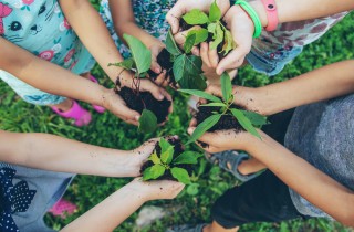 Come educare alla sostenibilità i bambini