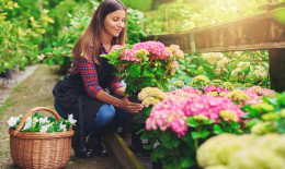 festa della mamma, giardinaggio, idee regalo originali