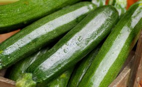 zucchine cucina estate verdura ortaggio