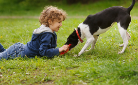 I bambini e la paura dei cani: come superarla