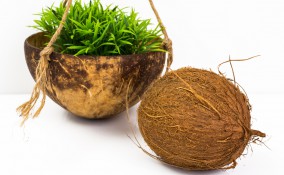 riciclare gusci noci di cocco, lavoretti con noce di cocco, utilizzare gusci noci