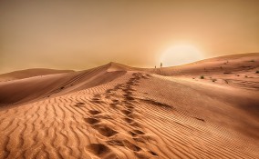 Sognare nel deserto