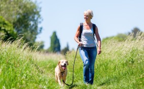 Passeggiare con cane