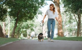 Passeggiare con il cane