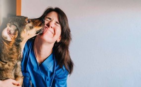 Giornata Mondiale del cane