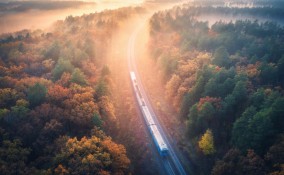 foliage treno