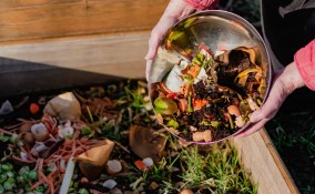 compost