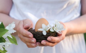 Pasqua sostenibile