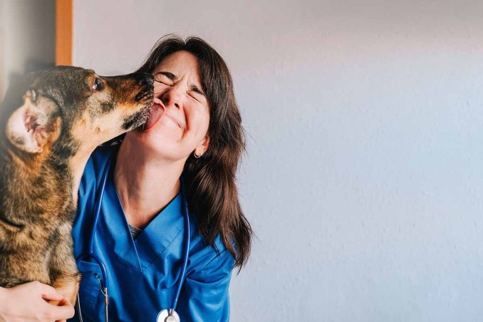 Giornata Mondiale del cane