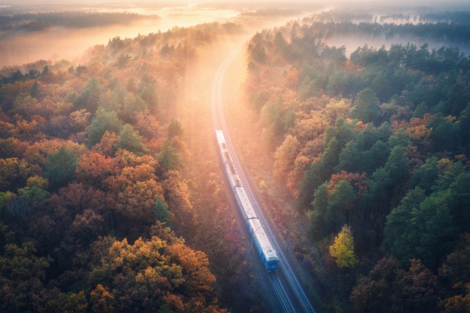 foliage treno