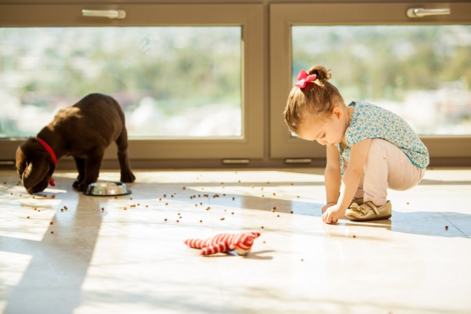 cibo per cani